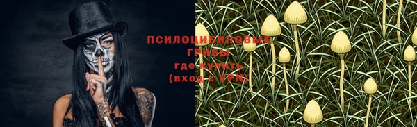 PSILOCYBIN Балабаново