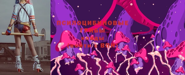 крисы Балахна