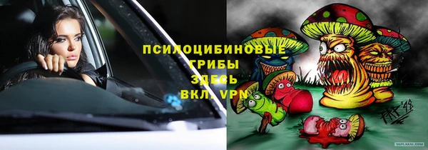 крисы Балахна