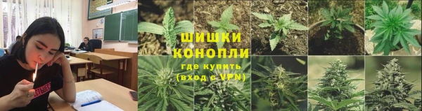 крисы Балахна