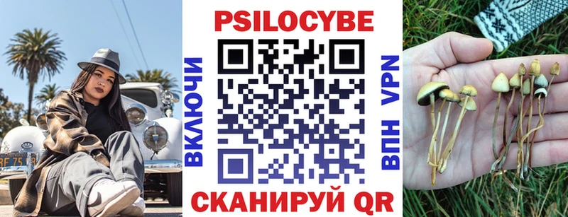 даркнет сайт  Верхний Уфалей  Галлюциногенные грибы прущие грибы 